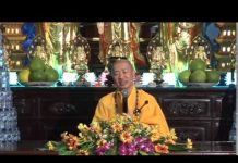 Tâm Tình Cuối Năm – Thích Thiện Thuận tam tinh cuoi nam thich thien th