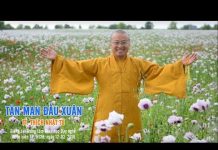 Tản Mạn Đầu Xuân – Thích Nhật Từ tan man dau xuan thich nhat tu
