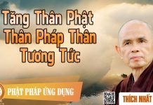 Tăng Thân Phật Thân Pháp Thân Tương Tức – Thích Nhất Hạnh tang than phat than phap than tu