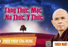 Tăng Thức, Mạc Na Thức, Ý Thức – Thích Nhất Hạnh tang thuc mac na thuc y thuc thi