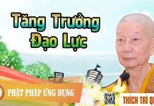 Tăng Trưởng Đạo Lực – Thích Trí Quảng tang truong dao luc thich tri qu