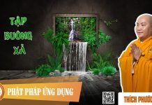 Tập Buông Xả English Sub (Practicing Equanimity) – Thích Phước Tiến tap buong xa english sub practic