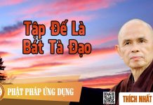Tập Đế Là Bát Tà Đạo – Thích Nhất Hạnh tap de la bat ta dao thich nhat