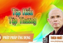 Tập Hiểu Tập Thương – Thích Nhất Hạnh tap hieu tap thuong thich nhat h