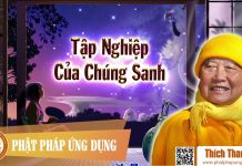 Tập Nghiệp Của Chúng Sanh – Thích Thanh Từ tap nghiep cua chung sanh thich