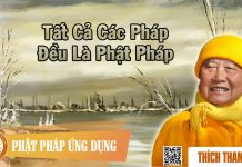 Tất Cả Các Pháp Đều Là Phật Pháp – Thích Thanh Từ tat ca cac phap deu la phat phap