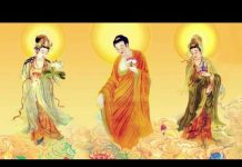 Tây Phương Tam Thánh – Thích Trí Huệ tay phuong tam thanh thich tri h