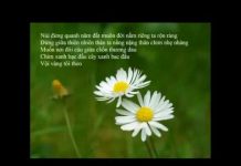 Tha Thứ – Chất Liệu Ân Tình – Thích Minh Niệm tha thu chat lieu an tinh thich