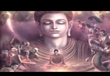 Tha Thứ Cho Lòng Thanh Thản – Thích Thiện Tuệ tha thu cho long thanh than thic