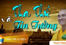 Tha Thứ Và Tin Tưởng – Thích Thiện Tuệ tha thu va tin tuong thich thien