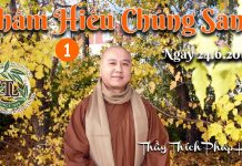 Thâm Hiểu Chúng Sanh Phần 1 – Thích Pháp Hòa tham hieu chung sanh phan 1 thic
