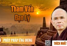 Tham Vấn Đạo Lý – Thích Nhất Hạnh tham van dao ly thich nhat hanh