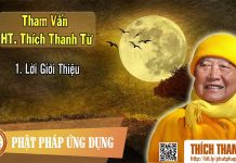 Tham vấn HT Thanh Từ 1. Lời Giới Thiệu tham van ht thanh tu 1 loi gioi