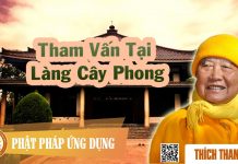 Tham Vấn Tại Làng Cây Phong – Thích Thanh Từ tham van tai lang cay phong thic