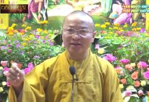 Thân người khó được, Phật pháp khó nghe-Thích Nhật Từ than nguoi kho duoc phat phap kh 2