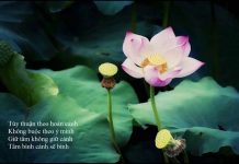 Thản Nhiên Trước Những Biến Dộng – Thích Minh Niệm than nhien truoc nhung bien dong