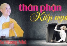 Thân Phận Kiếp Người – Thích Nữ Hương Nhũ than phan kiep nguoi thich nu hu