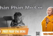 Thân Phận Mồ Côi – Thích Phước Tiến than phan mo coi thich phuoc tie