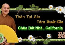 Thân tại gia tâm xuất gia – Thích Pháp Hòa than tai gia tam xuat gia thich