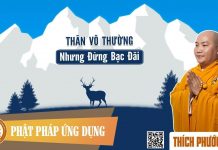 Thân vô thường nhưng đừng bạc đãi – Thích Phước Tiến than vo thuong nhung dung bac da