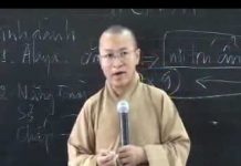 Thành duy thức luận 8: Ba phương diện của thức Alaya (06/10/2008) – Thích Nhật Từ thanh duy thuc luan 8 ba phuong