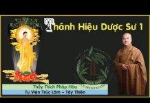 Thánh Hiệu Dược Sư Phần 1 – Thích Pháp Hòa thanh hieu duoc su phan 1 thich