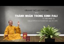 Thánh Nhân Trong Kinh Pali – Thích Nhật Từ thanh nhan trong kinh pali thich