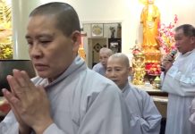 Thành Tựu Đạo Quả – Thích Trí Huệ thanh tuu dao qua thich tri hue 1