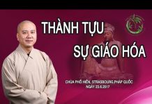 Thành Tựu Sự Giáo Hóa – Thích Pháp Hòa thanh tuu su giao hoa thich phap
