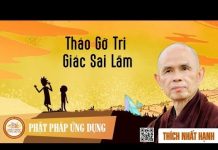 Tháo Gỡ Tri Giác Sai Lầm – Thích Nhất Hạnh thao go tri giac sai lam thich n