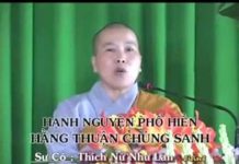 Thập Nguyện Phổ Hiền 09 – Hằng Thuận Chúng Sanh – Thích Nữ Như Lan thap nguyen pho hien 09 hang thu