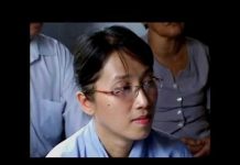 Thập Toàn Đại Bổ – Thích Trí Huệ thap toan dai bo thich tri hue