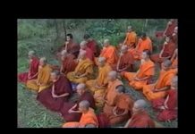 Thất Thánh Tài – Thích Chân Tính that thanh tai thich chan tinh