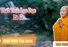 Thất Tình Lục Dục Là Gì – Thích Phước Tiến that tinh luc duc la gi thich ph