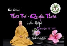 Thật Trí – Quyền Thừa (vấn đáp) – Thích Pháp Hòa that tri quyen thua van dap thic