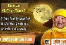 Thấy Được Lý Nhân Quả, Đi Sâu Vào Lý Nhân Quả Có Phải Là Huệ Không – Tham vấn HT Thanh Từ 49 thay duoc ly nhan qua di sau vao