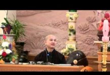 Thấy Nghe Lợi Ích 2 – Thích Pháp Hòa thay nghe loi ich 2 thich phap h