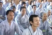 Thầy Ơi Con Về Đâu – Thích Trí Huệ thay oi con ve dau thich tri hue