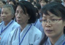 Thầy Tài Trò Giỏi – Thích Chân Tính thay tai tro gioi thich chan tin