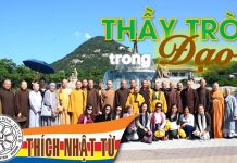 Thầy Trò Trong Đạo – Thích Nhật Từ thay tro trong dao thich nhat tu