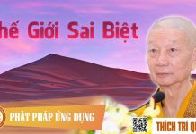 Thế Giới Sai Biệt – Thích Trí Quảng the gioi sai biet thich tri quan