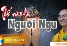 Thế Nào Là Người Ngu – Thích Thiện Tuệ the nao la nguoi ngu thich thien