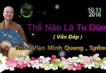 Thế nào là tu đúng? (Vấn đáp) – Thích Pháp Hòa the nao la tu dung van dap thich