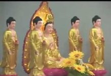 Theo Chân Từ Phụ Trở Về – Thích Nữ Như Lan theo chan tu phu tro ve thich nu 1