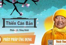 Thiền Căn Bản 15 – Tổng Khởi – Thích Thanh Từ thien can ban 15 tong khoi thich