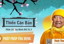Thiền Căn Bản 19 – Tùy Bệnh Đối Trị Phần 3 – Thích Thanh Từ thien can ban 19 tuy benh doi tr