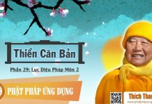 Thiền Căn Bản 29 – Lục Diệu Pháp Môn Phần 2 – Thích Thanh Từ thien can ban 29 luc dieu phap m