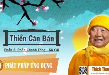 Thiền Căn Bản 6 – Phần Chánh Tông – Xả Cái – Thích Thanh Từ thien can ban 6 phan chanh tong