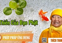 Thiền Của Đạo Phật – Thích Thanh Từ thien cua dao phat thich thanh t