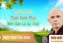 Thiền Đi Là Thiền Hạnh Phúc – Niết Bàn Là Sự Thật – Thích Nhất Hạnh thien di la thien hanh phuc niet